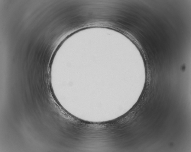 X0000115230996200912111025