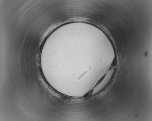 X0000115230997200912111025