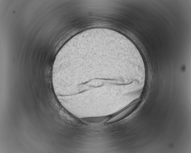 X0000115231001200912111025