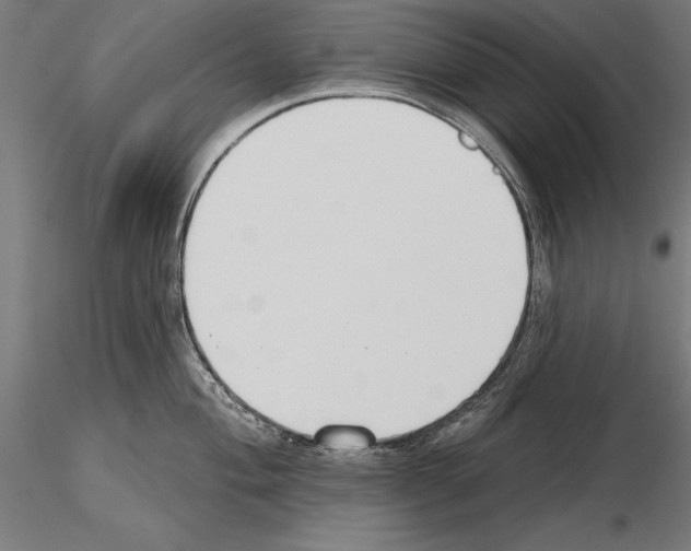 X0000115231004200912111025