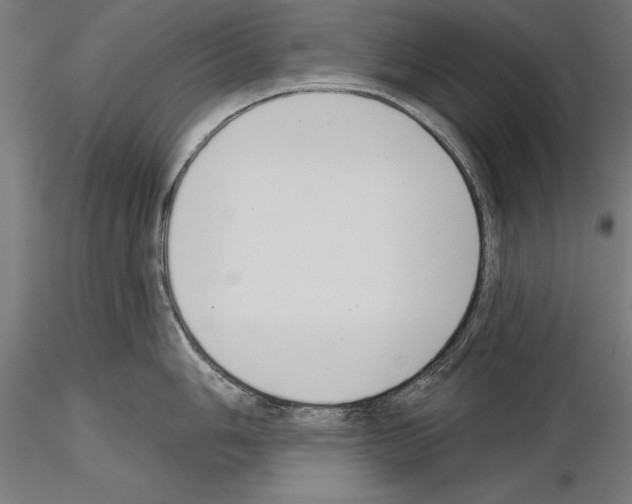 X0000115231006200912111025