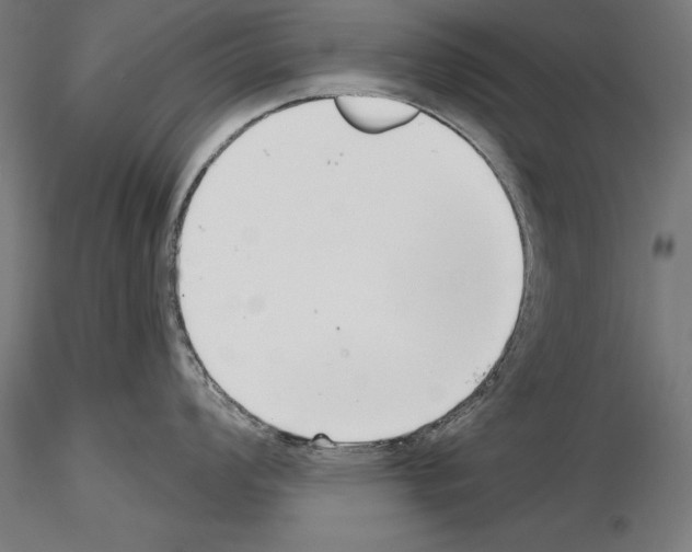 X0000115231008200912111025