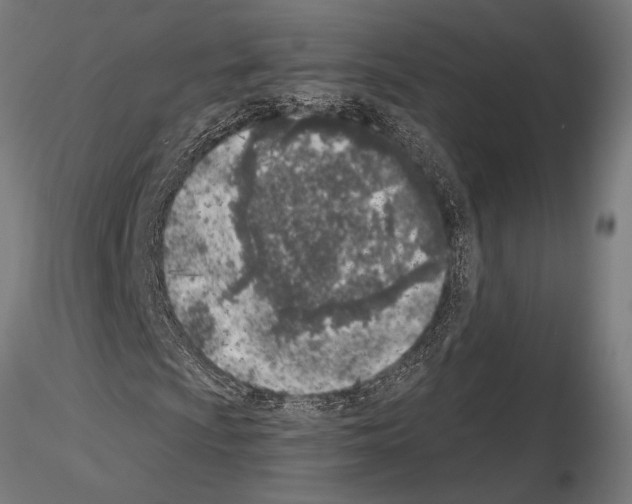 X0000115231009200912111024