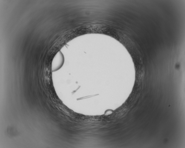 X0000115231010200912111025