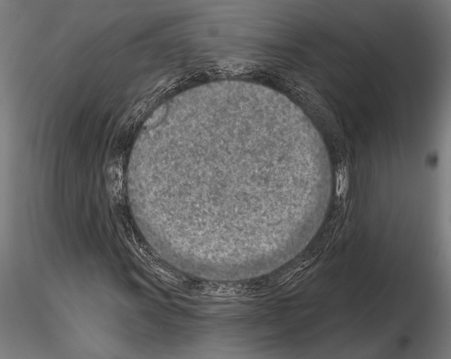 X0000115231011200912111025