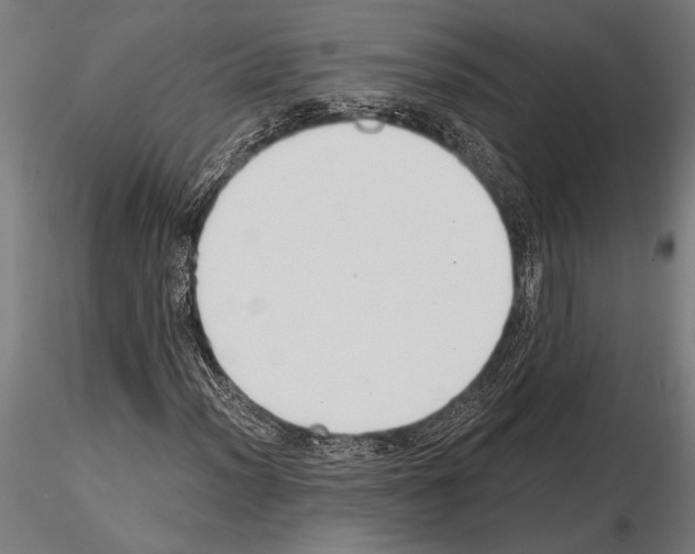 X0000115231012200912111025