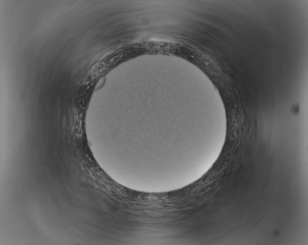 X0000115231013200912111025