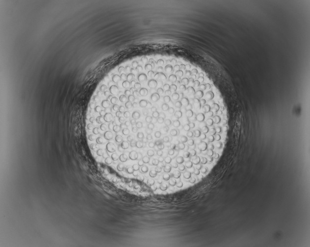 X0000115231014200912111025