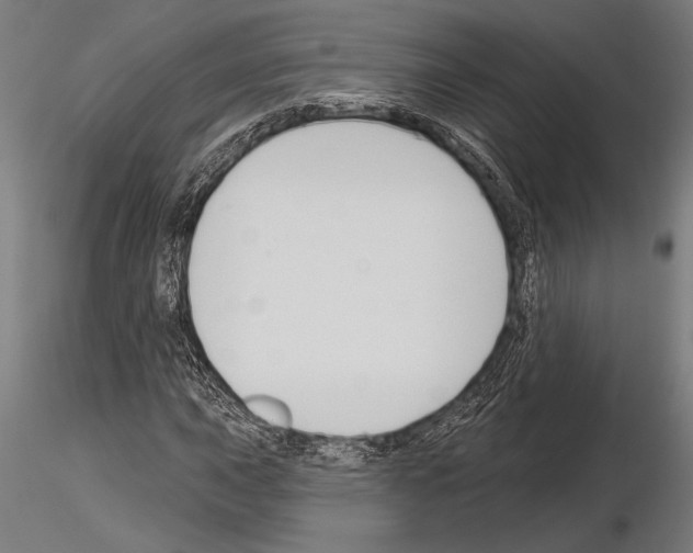 X0000115231015200912111025