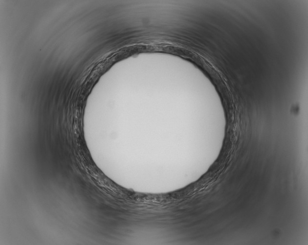 X0000115231016200912111025