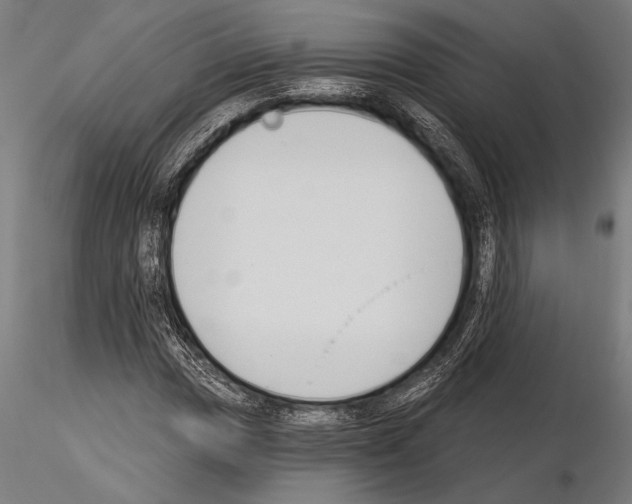 X0000115231017200912111025