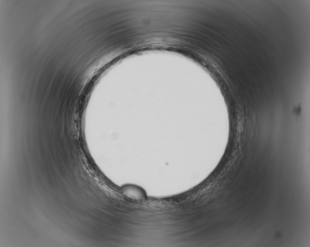 X0000115231018200912111025