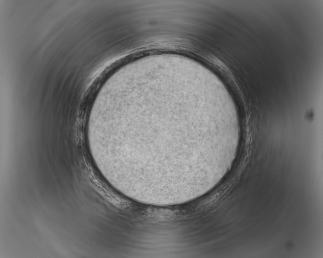 X0000115231019200912111025