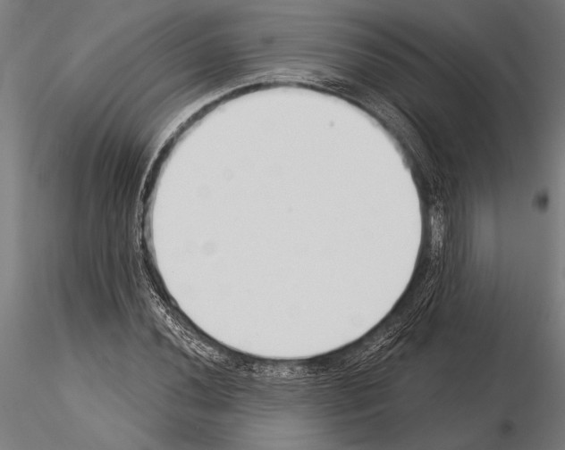 X0000115231020200912111025