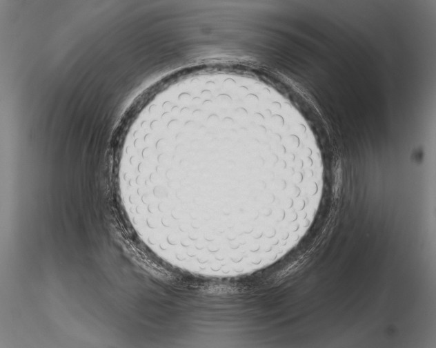 X0000115231021200912111025