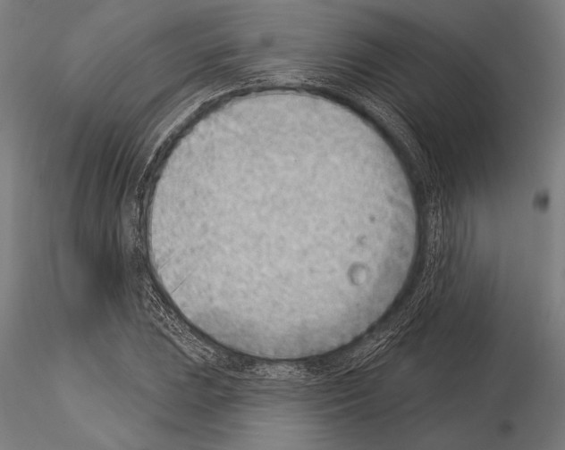 X0000115231023200912111025