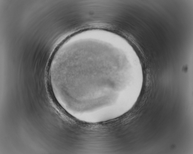 X0000115231024200912111025