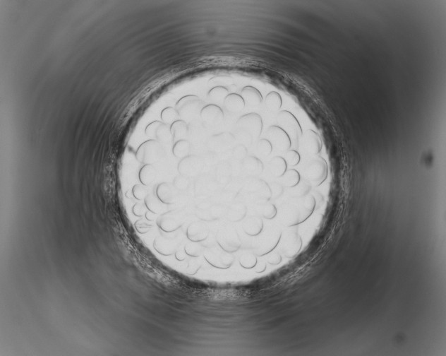 X0000115231025200912111025