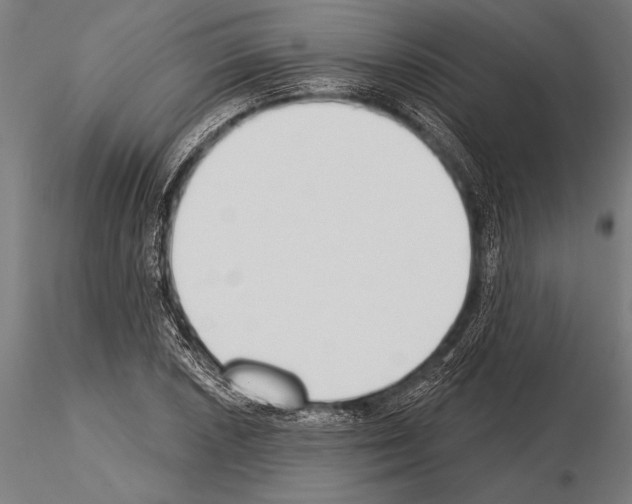 X0000115231026200912111025