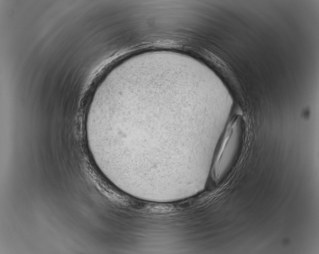 X0000115231027200912111025