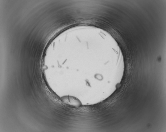 X0000115231028200912111025