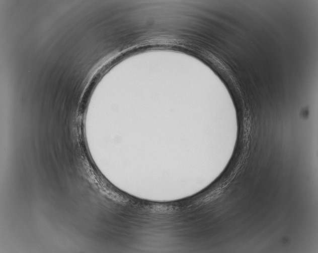 X0000115231029200912111025