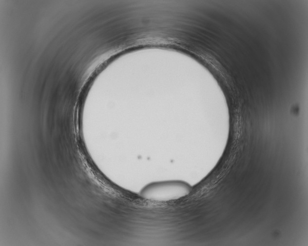 X0000115231030200912111025