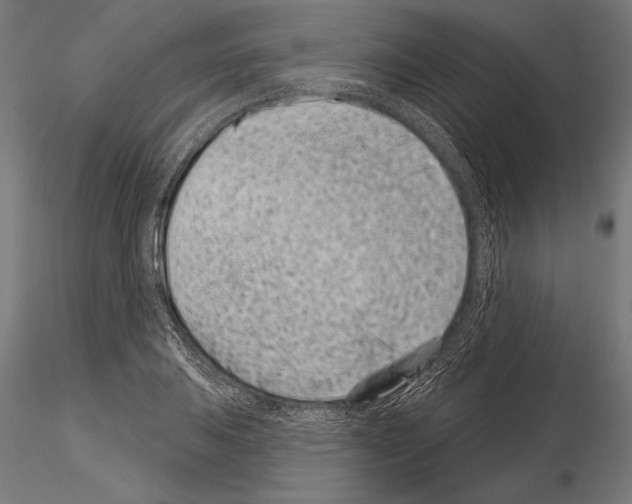 X0000115231031200912111025