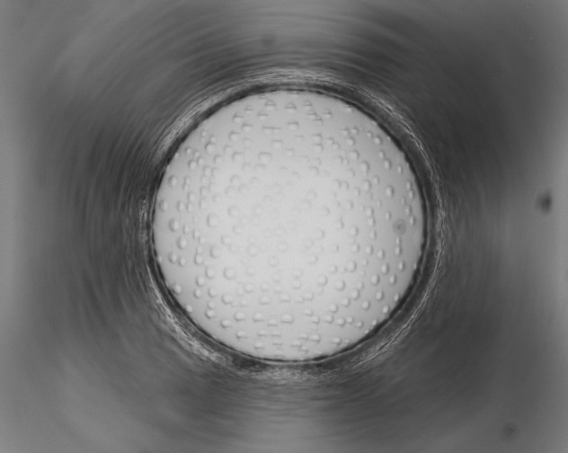 X0000115231033200912111025