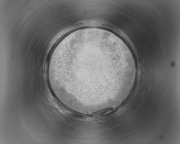 X0000115231035200912111025