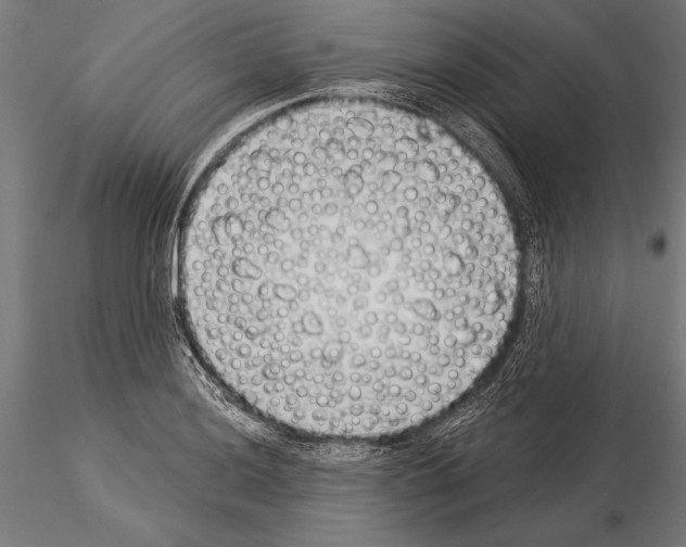 X0000115231036200912111025