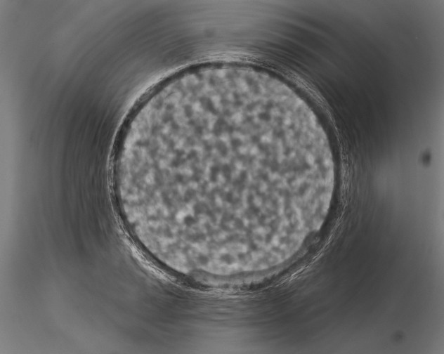 X0000115231037200912111025