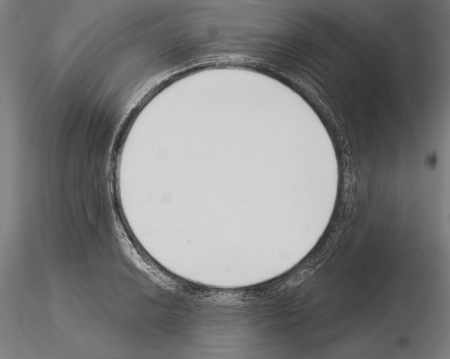 X0000115231038200912111025