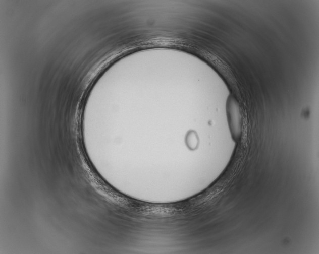 X0000115231039200912111025