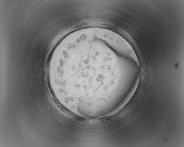 X0000115231043200912111025