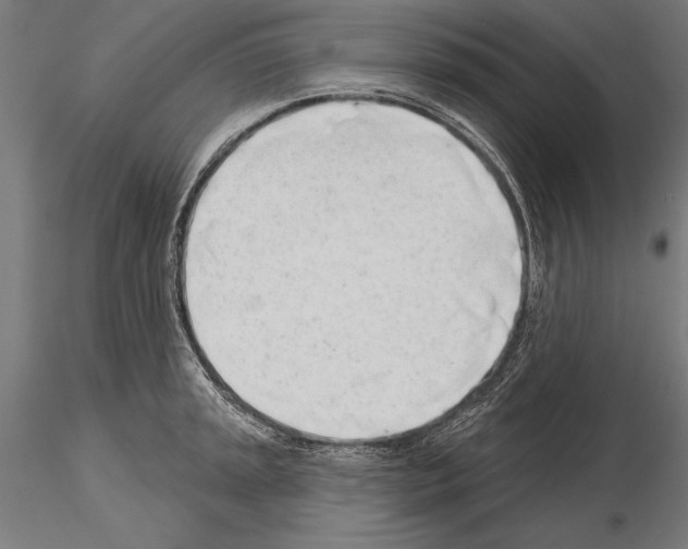 X0000115231045200912111025