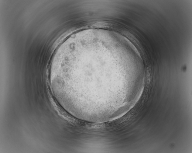 X0000115231047200912111025