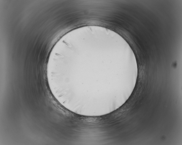 X0000115231048200912111025