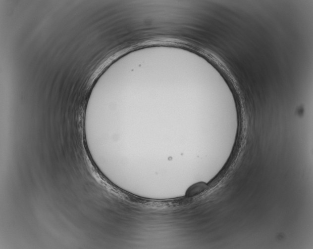 X0000115231049200912111025