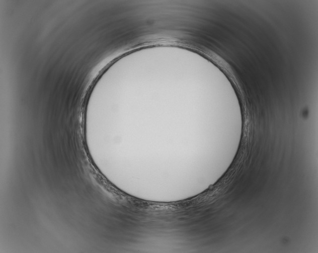 X0000115231051200912111025