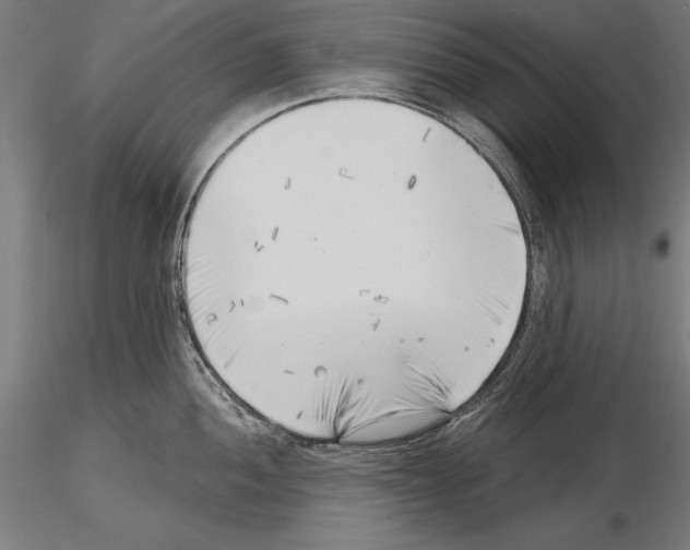 X0000115231052200912111025