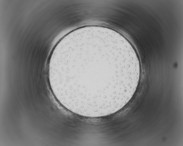 X0000115231053200912111025