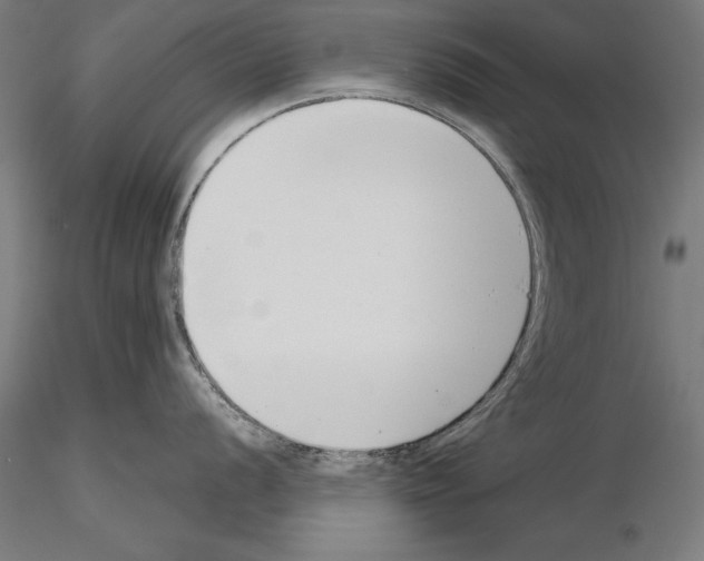 X0000115231056200912111025