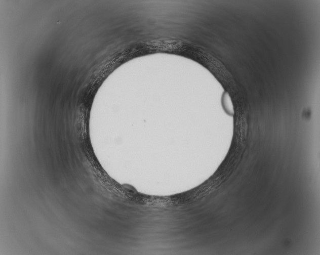 X0000115231058200912111024