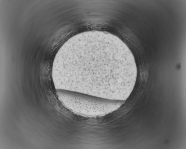 X0000115231060200912111024