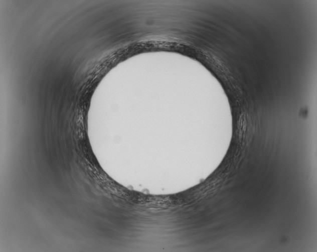 X0000115231062200912111024