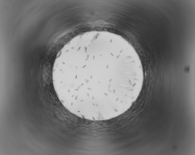 X0000115231063200912111024