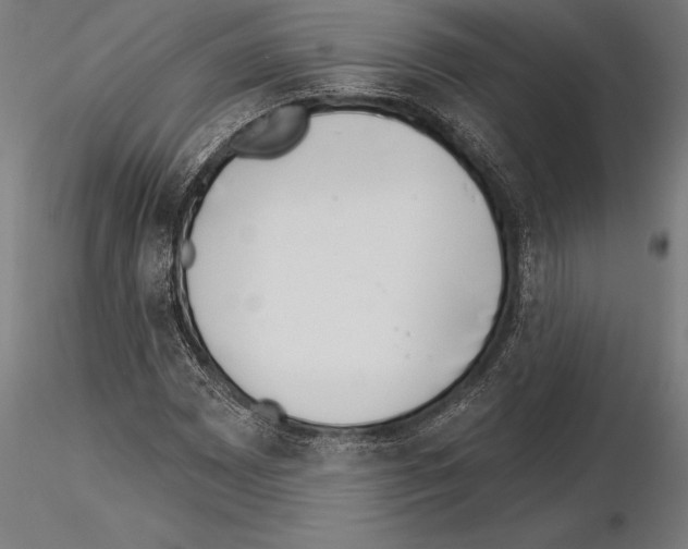 X0000115231065200912111024