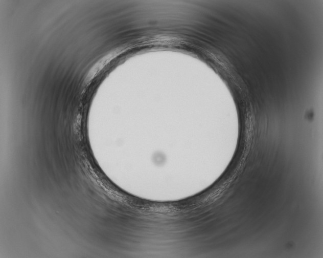 X0000115231066200912111024