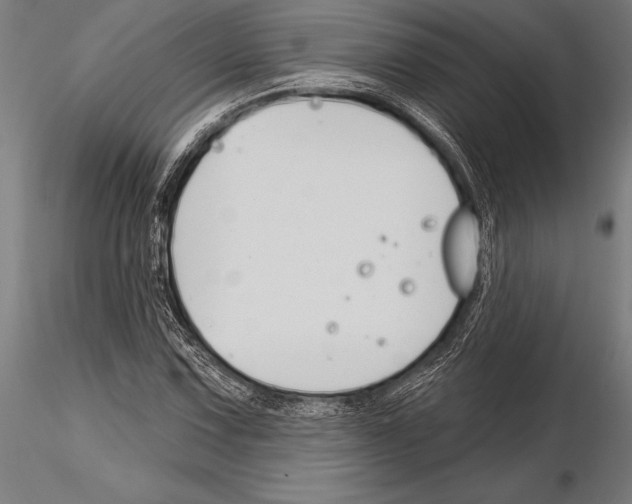 X0000115231067200912111024